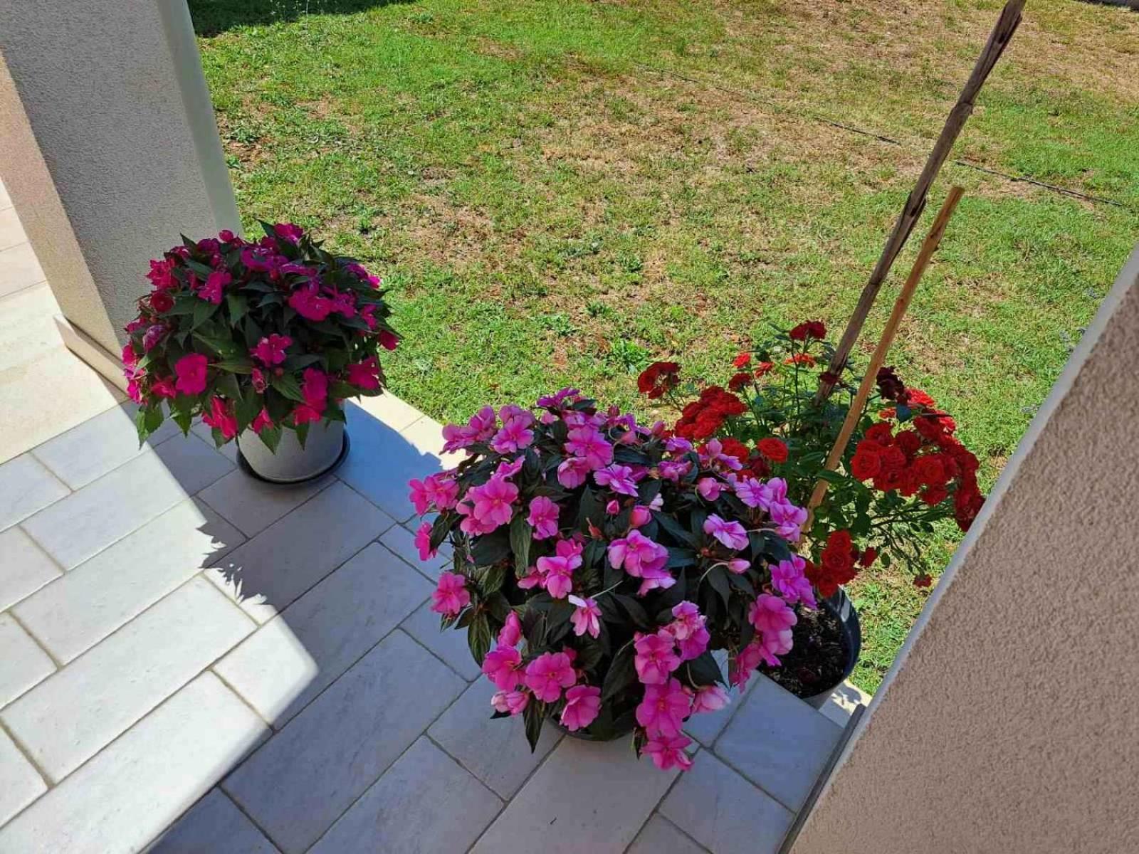 Apartmani Danica Vodnjan Luaran gambar