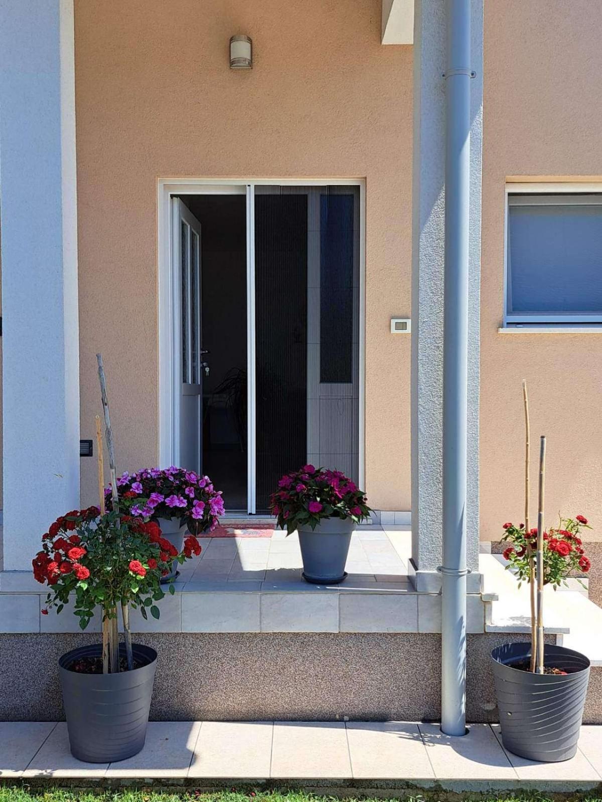 Apartmani Danica Vodnjan Luaran gambar
